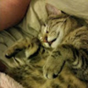 Meet your Posher, Marina